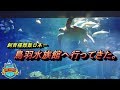 No.070　鳥羽水族館へ行ってきた。