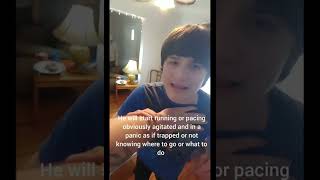 Eric's Autism Tantrum Severe Meltdown Self-Injury Behavior (Slow-Motion)