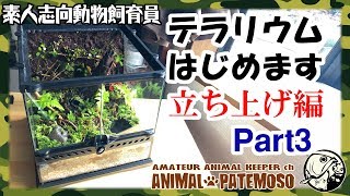 4種類の苔を配置して完成だ！テラリウム立ち上げ編Part3