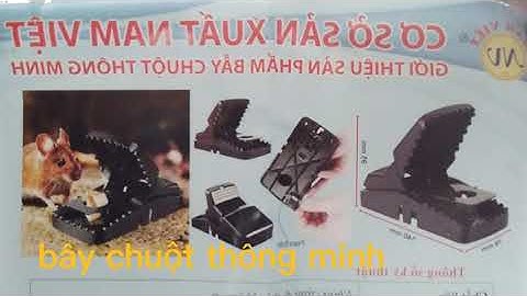 giới thiệu về cạm bẫy chuột thông minh
