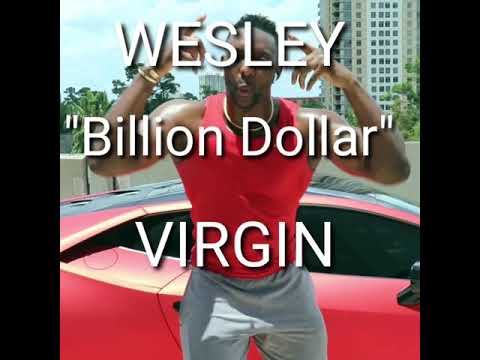 Wesley Virgin / Overnight Millionaire