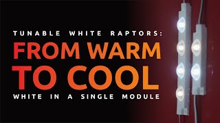 All whites in one module