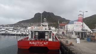 Seal Island.Hout bay.February 2020.Sout Africa