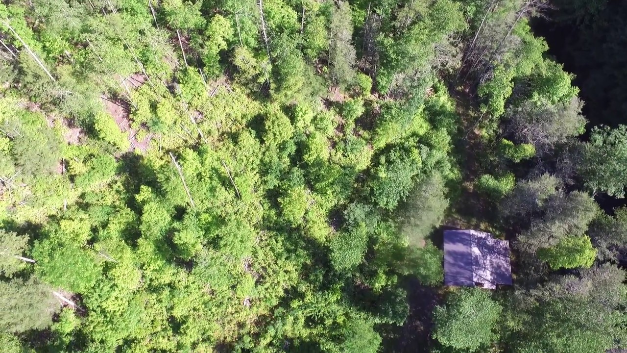 FOR SALE! 20 ACRES ON VIRGINIA CREEPER TRAIL IN DAMASCUS, VA YouTube