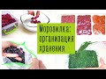 Как КОМПАКТНО сложить продукты в МОРОЗИЛЬНОЙ КАМЕРЕ холодильника.❄ Организация хранения на кухне.