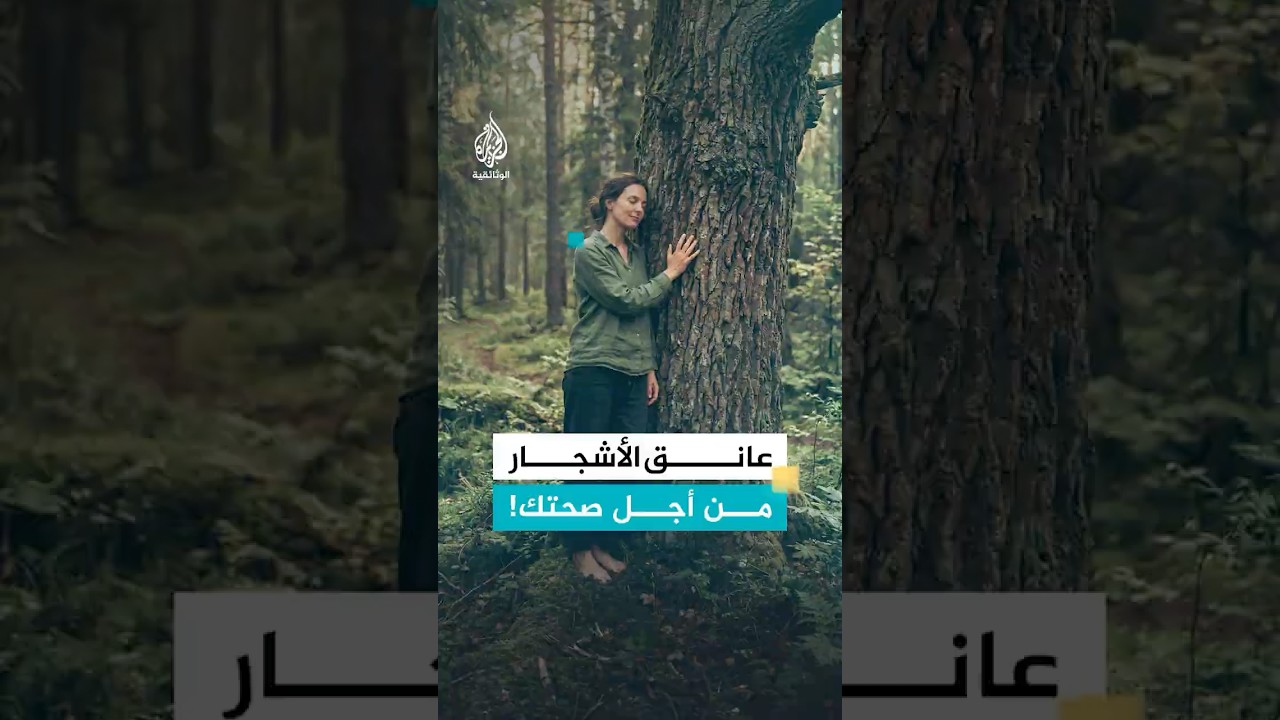 لماذا يفيدك عناق الأشجار؟