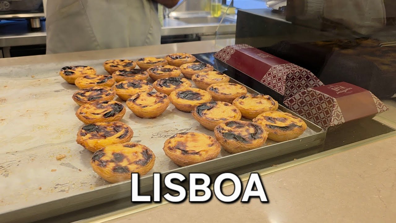 vlog. 포르투갈 리스본 1박2일 / 관광명소 안감 / 오직 에그타르트만 조진다 / 귀국 후 한국 일상