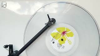 Zara Larsson - Crush (Vinyl Video)