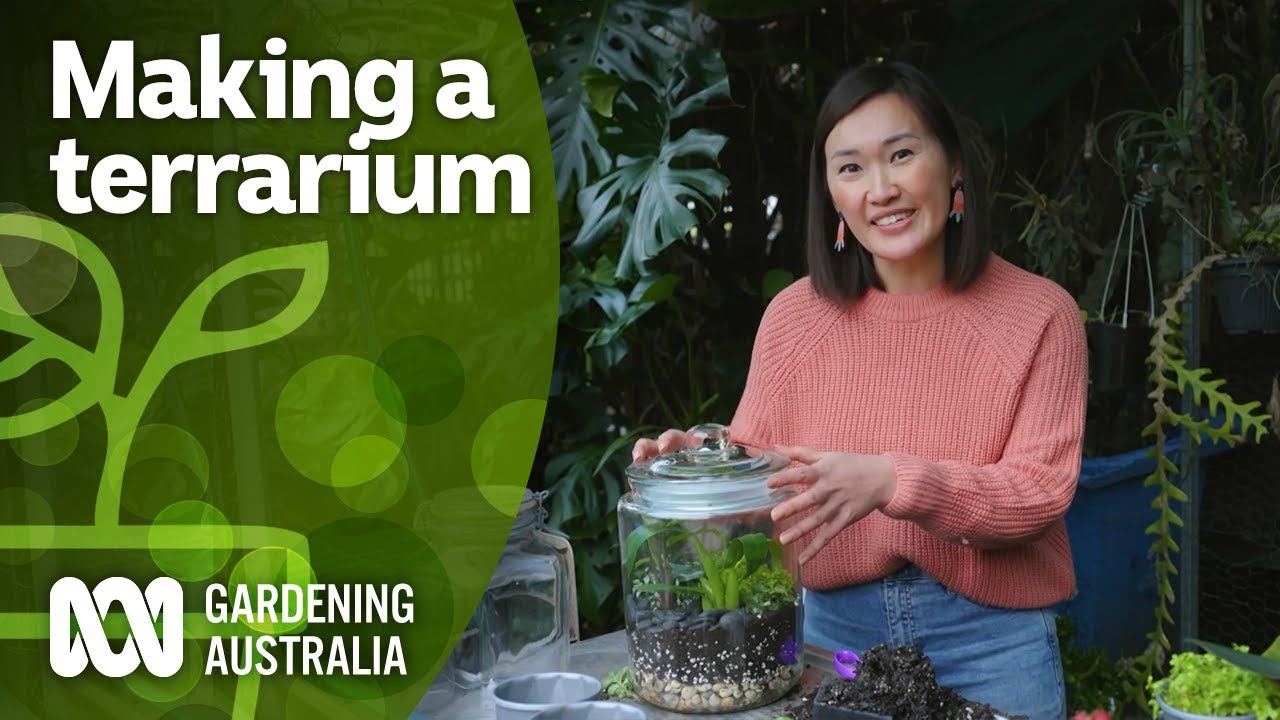 How To Make A Terrarium - Bunnings Australia