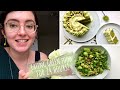 i only ate GREEN food for 24 hours (+ matcha cake recipe)