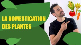 COURS DE TERMINALE SPÉCIALITÉ SVT CHAP.11: LA DOMESTICATION DES PLANTES -Bio Logique