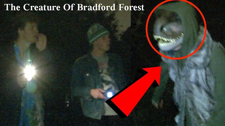 The Creature of Bradford Forest