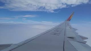 HD-Asiana Airlines OZ-115 Airbus A321 Landing Seoul Incheon from Osaka