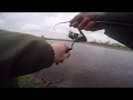 Trout Area Ribe Put &amp; Take Serrena Softbaits