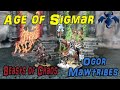 Age of Sigmar Battle Report- Beasts of Chaos vs Ogor Mawtribes: Retrieve the Prize