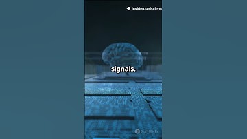 Brain‑Computer Interface: Typing With Thoughts!