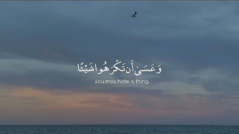 و الله يعلم و انتم لا تعلمون| الآية ٢١٦ من سورة البقرة
