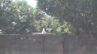 2325 15th St NW #115 Washington, DC 20009