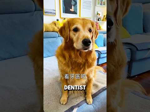 Max Brought Out the BIG TOOLS! 😳#usa #viral #shortvideo