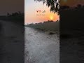 #villagelife #nature #unfrezzmyaccount #love