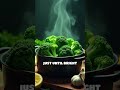 Broccoli in the kitchen making it actually enjoyable