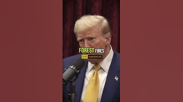The solution for California forests by Donald Trump