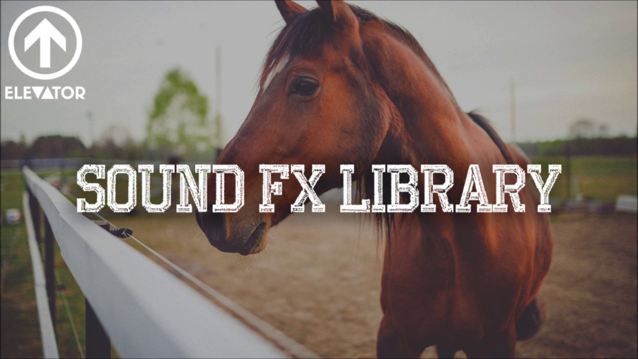 SOUND EFFECTS HORSE PASSING BY YouTube