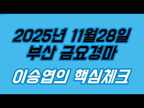 2025년11월28일 금요경마 (이승엽의 핵심체크)
