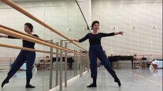 Plié. Ballet Barre 3