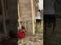 De thief #brainjotter #subscribe #trending #jagaban #music #ogbrecent #reels