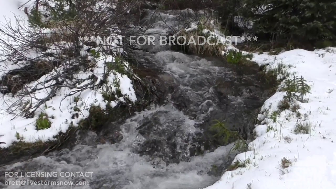 06222019 Berthoud FallsBerthoud Pass, Colorado June