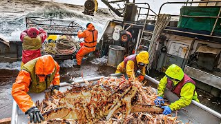 Deadly Expedition | Catch King Crabs in Fierce Seas and Big Waves. Big Catch of Alaskan Crab