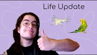 Let's Chat! Life Update