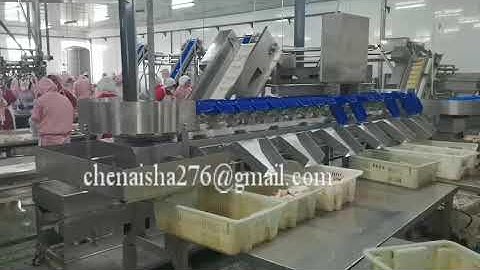 Automatic chicken leg weight sorting machine