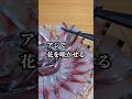 熟成アジを刺身だけでキレイに盛り付ける方法​ #アジ #刺身 #魚の捌き方
