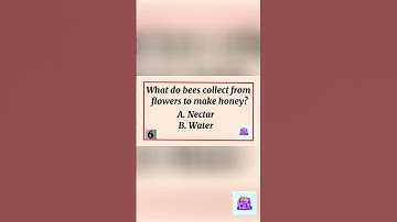 Science Trivia | QUIZ GAME | School TV #school #challenger #quizgame #trivia