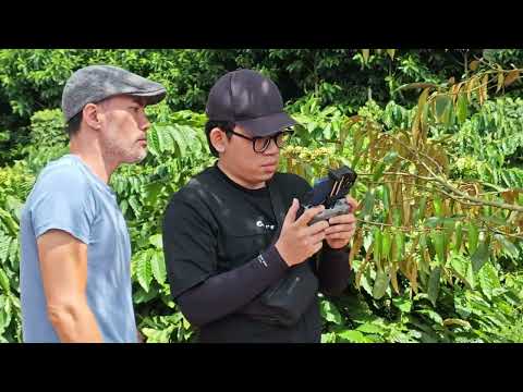 Tiền Trạm Vườn Cà Phê Siêu Đẹp Ở Đắk Lắk Chuẩn Bị Quay TVC Phân Bón Đầu Trâu | Đạo Diễn Nguyễn Nam