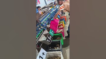 #Weight Sorting Machine Weihai Oyster Weight Sorting Machine, Oyster Sorting Production Line, Oyster