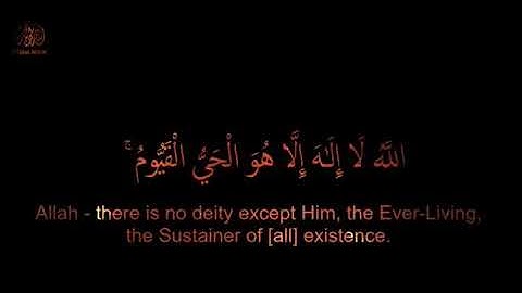 قرآن كريم بصوت اسلام صبحى🏵🥀😍||آيه الكرسى❤||حالات واتس اب||💚💙