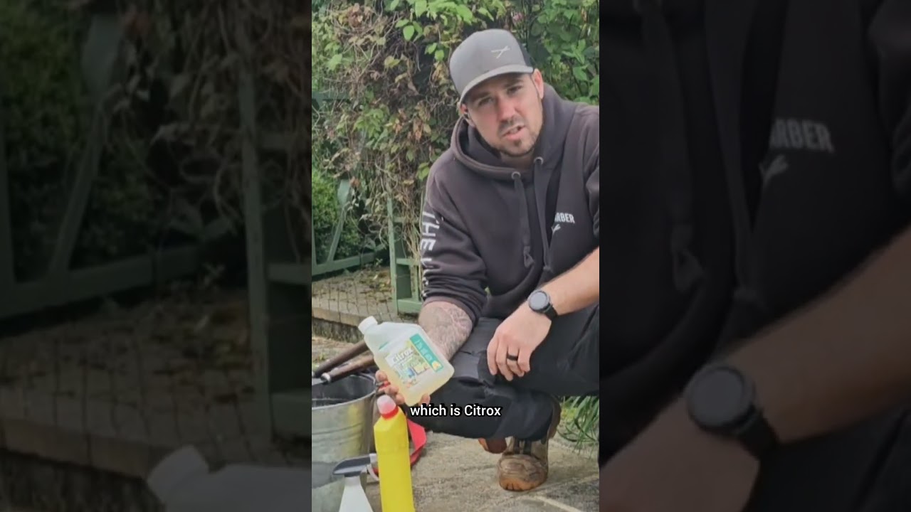 Garden tool maintenance to help stop the spread of buxus blight