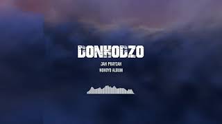 Jah Prayzah   Donhodzo