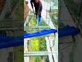 They Get Paid MORE When You’re Scared 😳💰 | World’s Strangest Job!