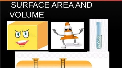 SURFACE AREA AND VOLUME | CHAPTER 12 | CLASS 10 | MATHS |