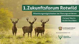 Zukunftsforum Rotwild | Teil 7: Mitwirkungsmöglichkeiten bei Planungsverfahren