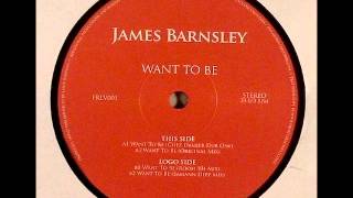 James Barnsley - Want To Be - Sampler