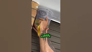 حيلة عبقرية للتخلص من عش الدبابير بدون لسعة حيلة ذكية دبابير 