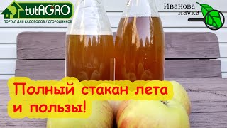 видео: ЛЮБОЙ СОК ПРЕВРАЩАЕМ В ЦЕЛЕБНОЕ ИГРИСТОЕ. Вино за 1 день. картинка: ЛЮБОЙ СОК ПРЕВРАЩАЕМ В ЦЕЛЕБНОЕ ИГРИСТОЕ. Вино за 1 день.