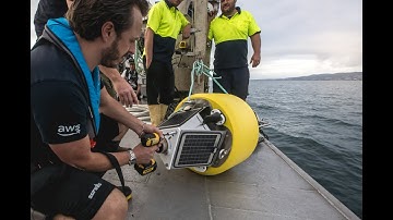 Adroit deploys IoT Data Buoy at Westpac Mussels to Monitor Salinity.