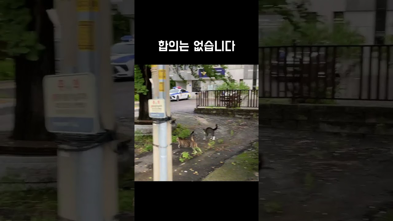 싸우다 파출소직행