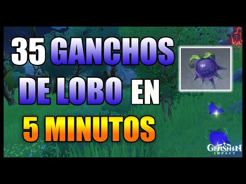 Video: Bayas De Lobo